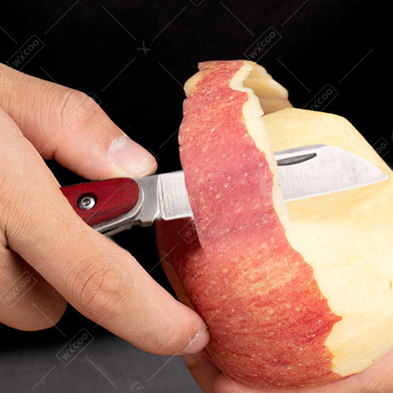 Edelstahl-Taschenmesser, Obstm – Kitchen Gadgets That Make Life Easier Bewertung und Preis